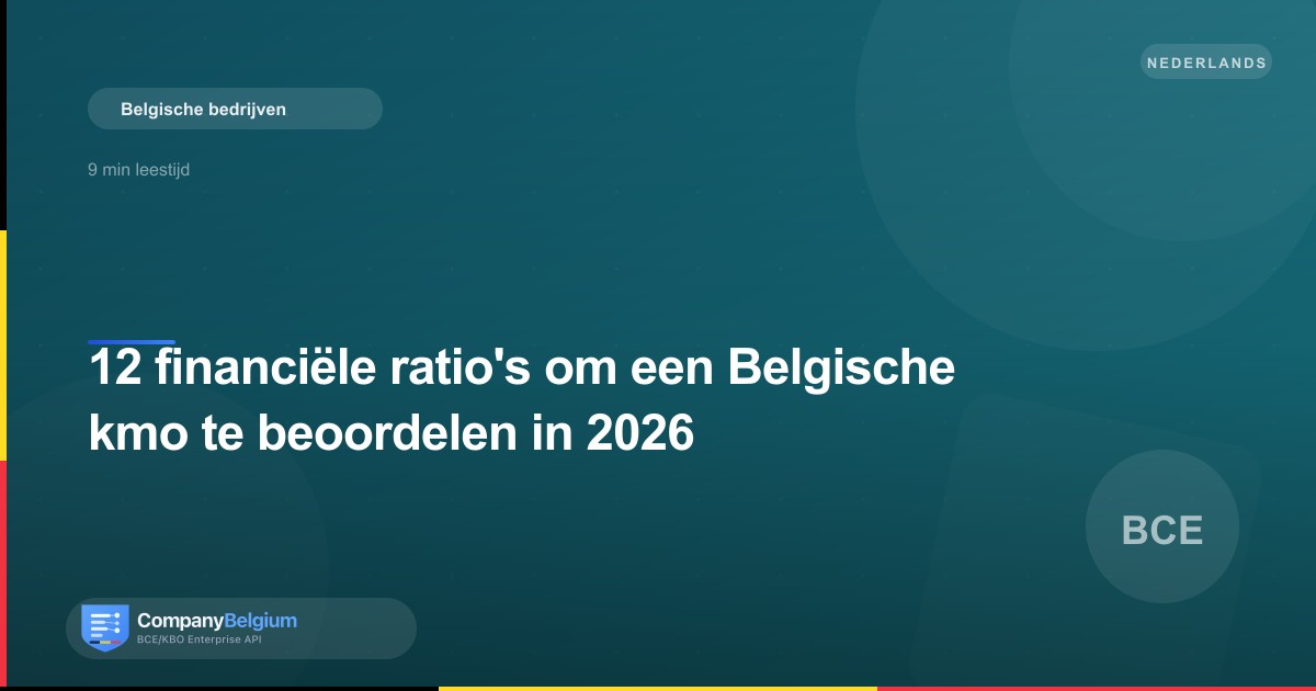 12 financiële ratio's om een Belgische kmo te beoordelen in 2026
