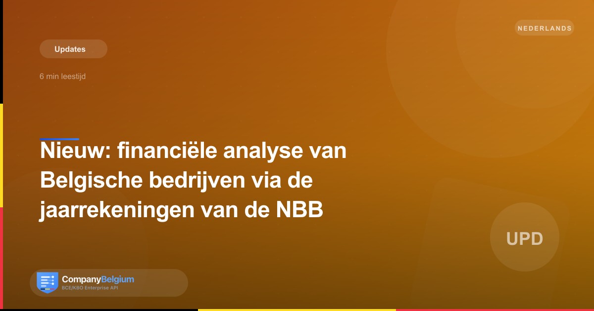 Nieuw: financiële analyse van Belgische bedrijven via de jaarrekeningen van de NBB