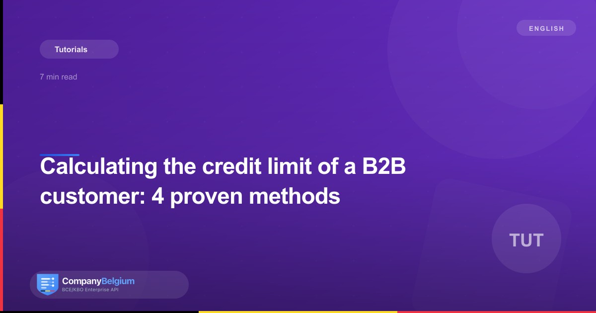 Calculating the credit limit of a B2B customer: 4 proven methods