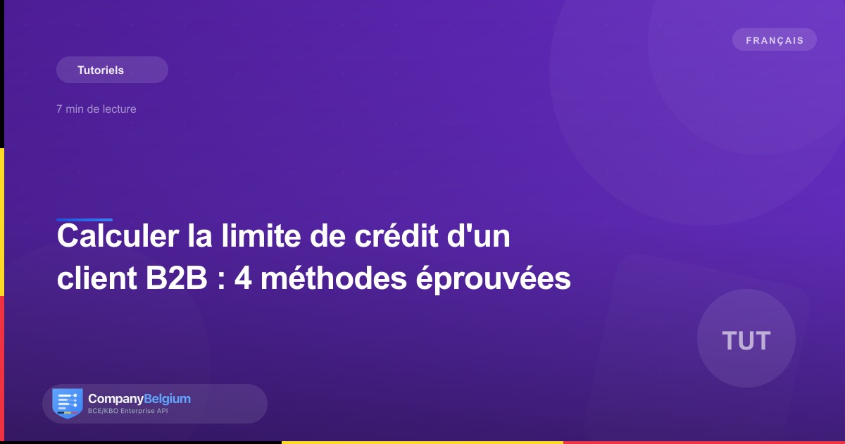 Calculer la limite de crédit d'un client B2B : 4 méthodes éprouvées