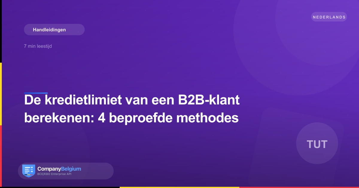 De kredietlimiet van een B2B-klant berekenen: 4 beproefde methodes