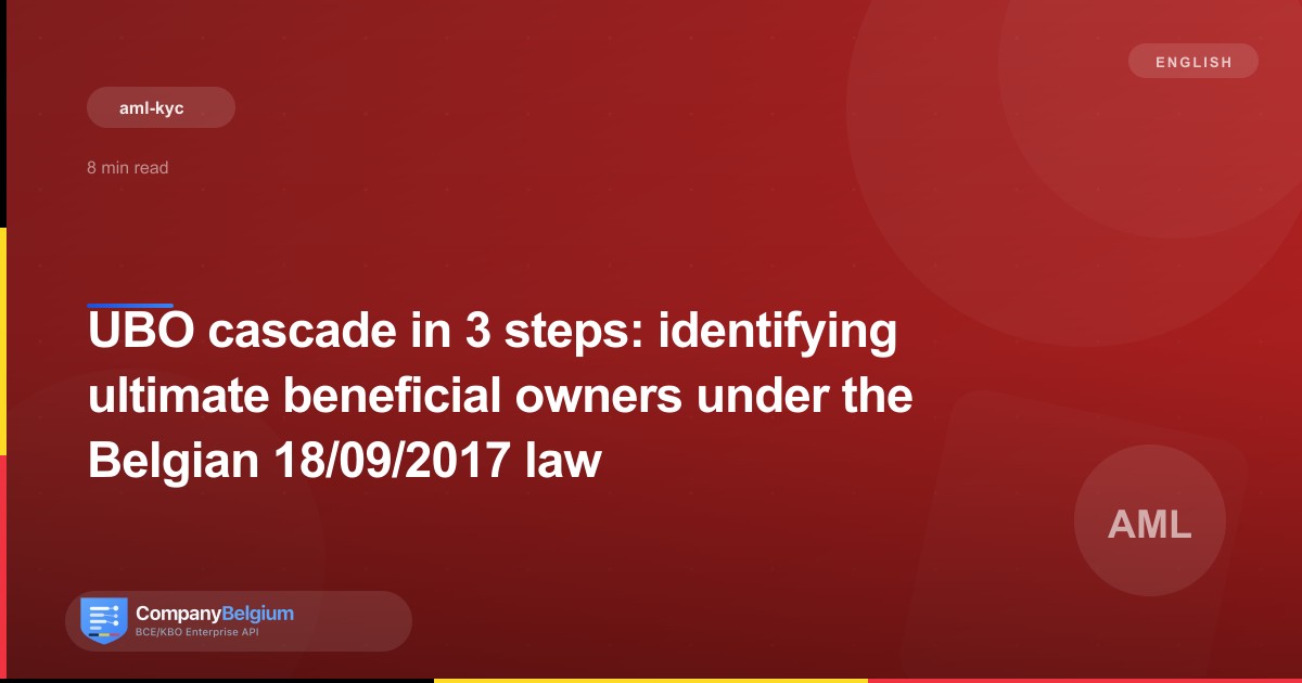 UBO cascade in 3 steps: identifying ultimate beneficial owners under the Belgian 18/09/2017 law