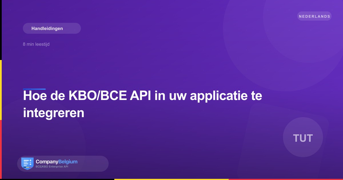 Hoe de KBO/BCE API in uw applicatie te integreren