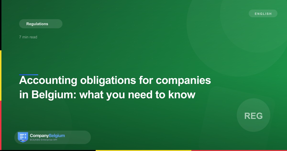 Accounting obligations for companies in Belgium: what you need to know