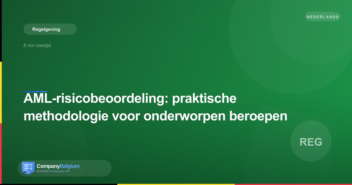 AML-risicobeoordeling: praktische methodologie voor onderworpen beroepen