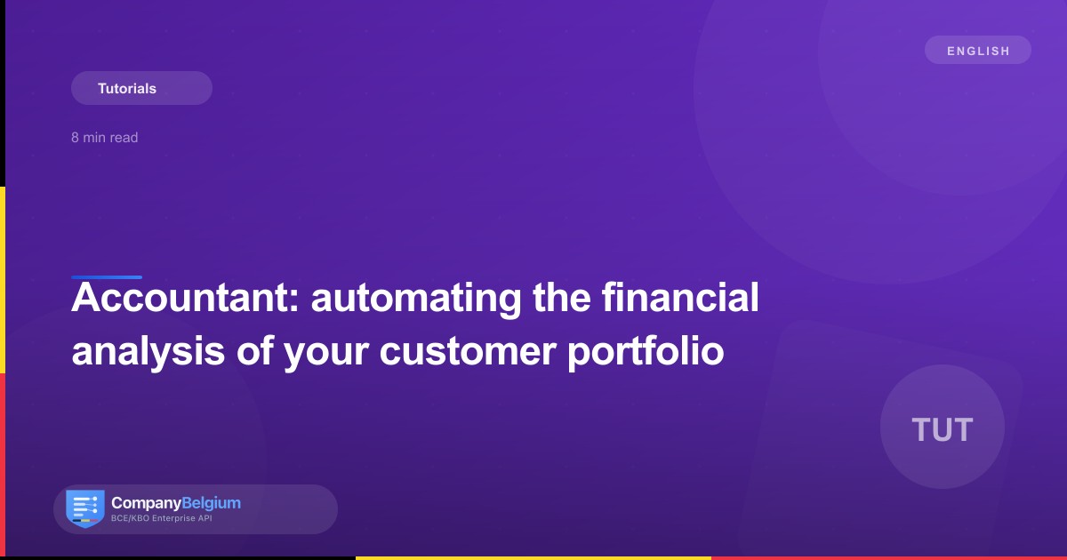 Accountant: automating the financial analysis of your customer portfolio