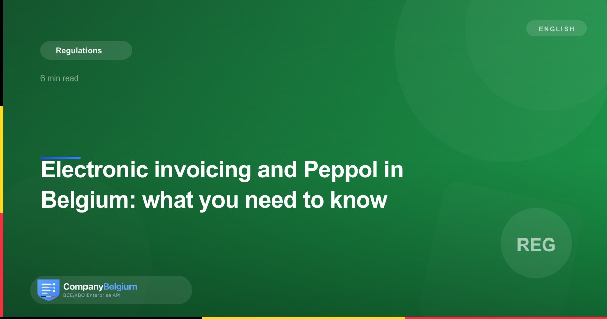 Electronic invoicing and Peppol in Belgium: what you need to know