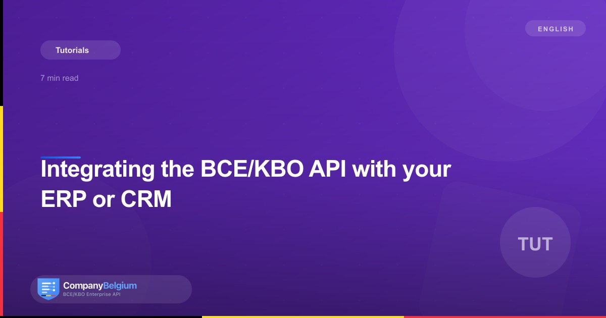 Integrating the BCE/KBO API with your ERP or CRM