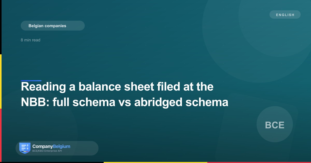 Reading a balance sheet filed at the NBB: full schema vs abridged schema