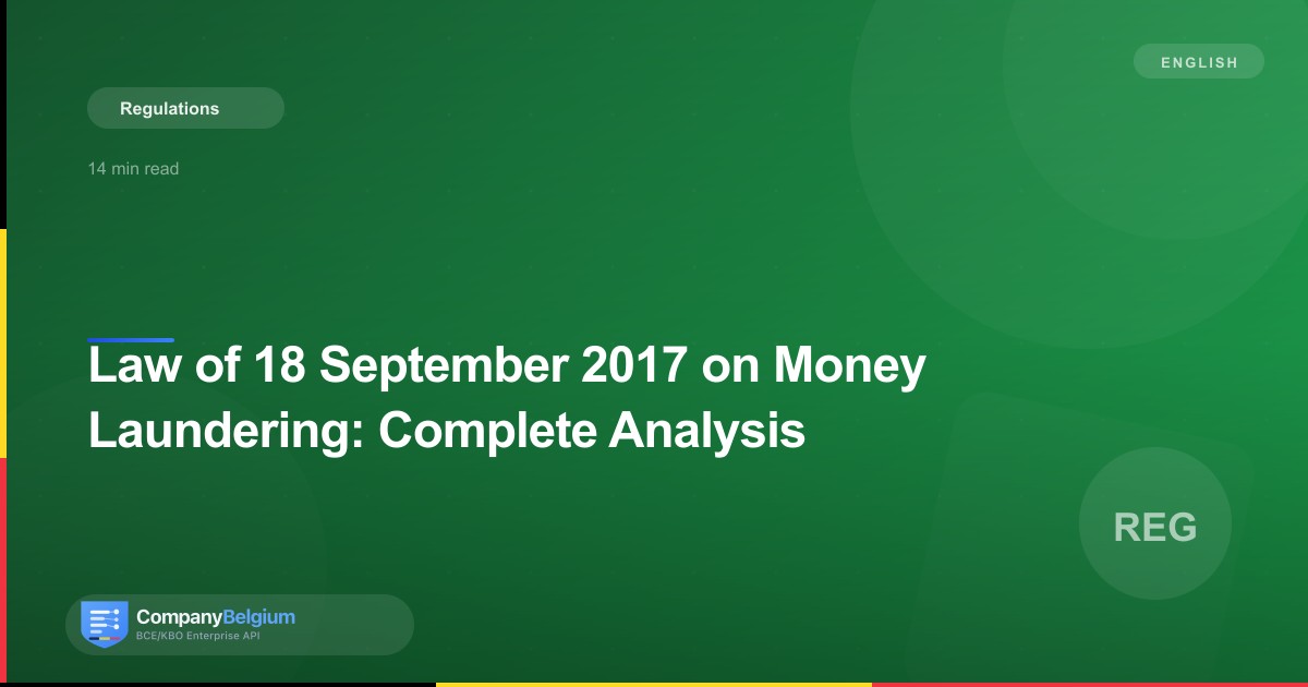 Law of 18 September 2017 on Money Laundering: Complete Analysis