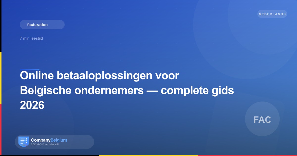 Online betaaloplossingen voor Belgische ondernemers — complete gids 2026