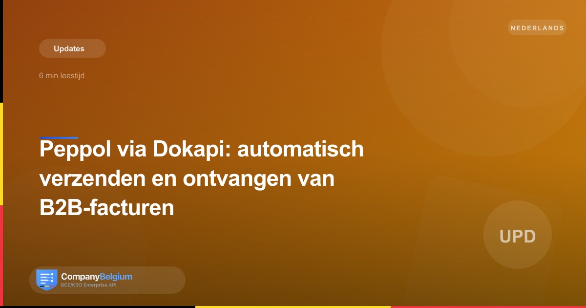 Peppol via Dokapi: automatisch verzenden en ontvangen van B2B-facturen