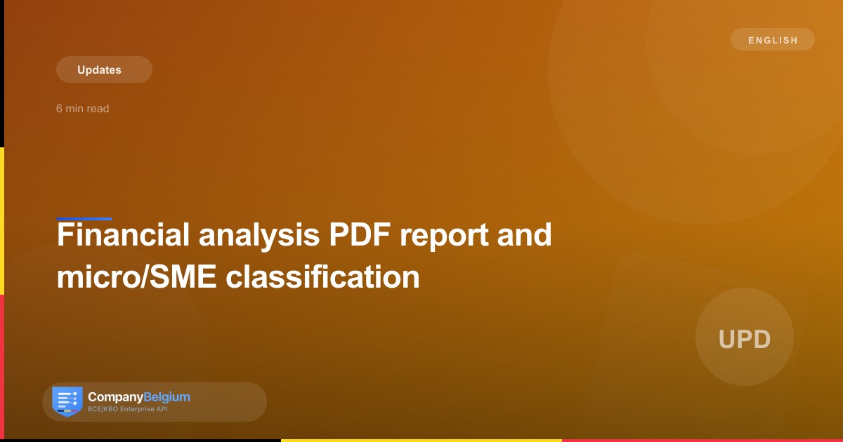 Financial analysis PDF report and micro/SME classification