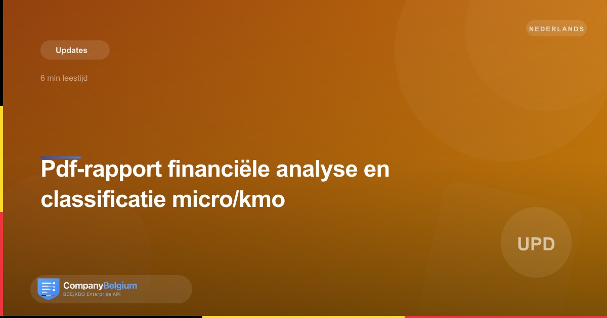 Pdf-rapport financiële analyse en classificatie micro/kmo