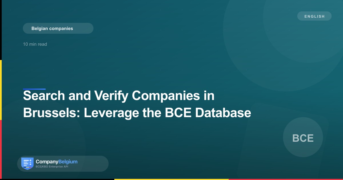 Search and Verify Companies in Brussels: Leverage the BCE Database