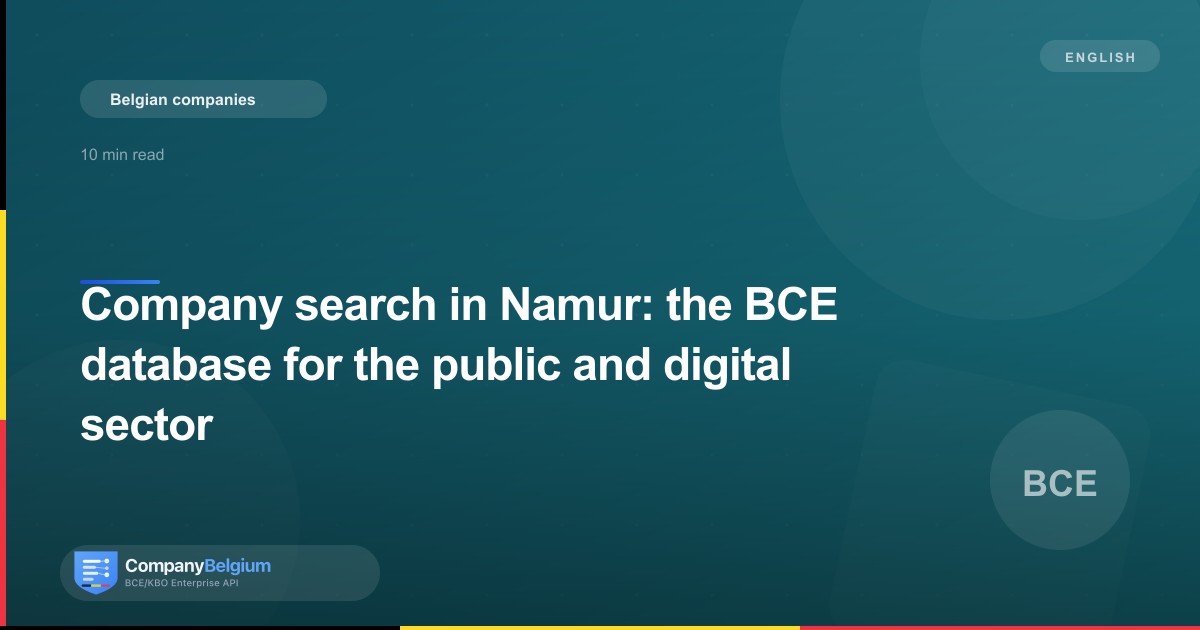 Company search in Namur: the BCE database for the public and digital sector