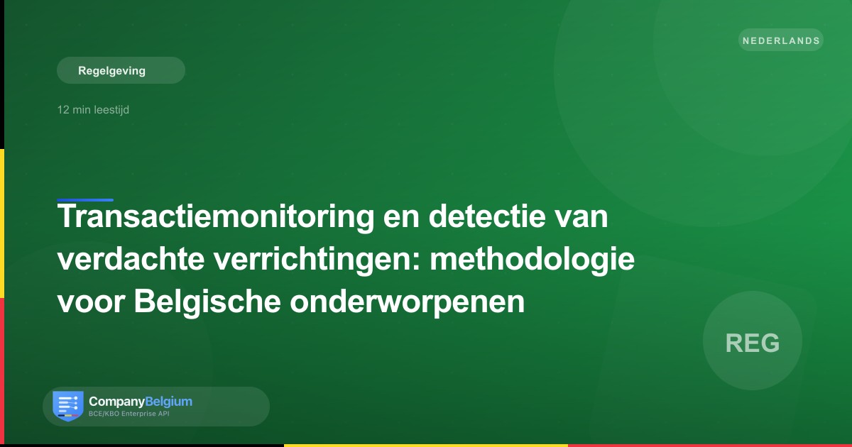 Transactiemonitoring en detectie van verdachte verrichtingen: methodologie voor Belgische onderworpenen