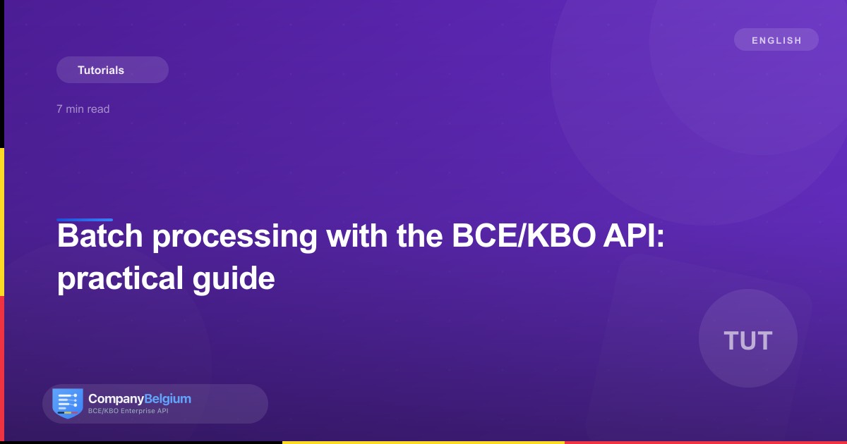 Batch processing with the BCE/KBO API: practical guide