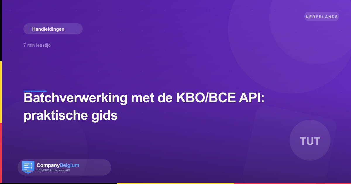 Batchverwerking met de KBO/BCE API: praktische gids